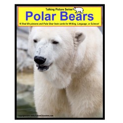 Polar Bears: Talking Picture Series